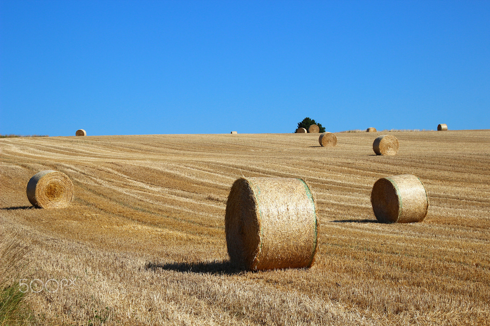 Canon EOS 600D (Rebel EOS T3i / EOS Kiss X5) sample photo. Haystack photography