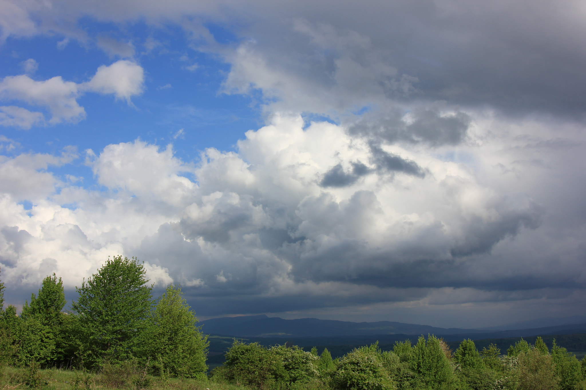 Canon EOS 550D (EOS Rebel T2i / EOS Kiss X4) sample photo. Psebay, russia photography