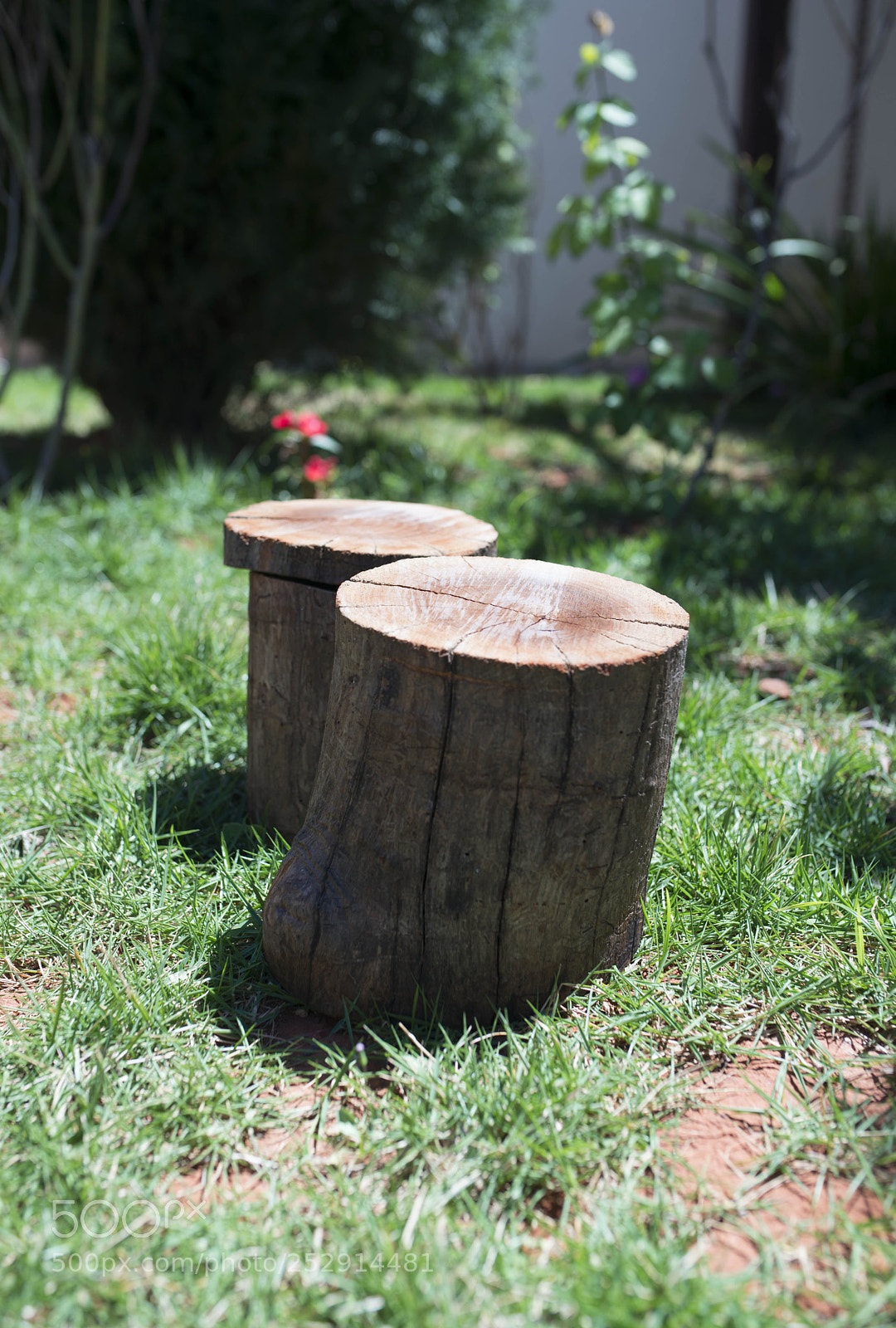 Nikon D610 sample photo. :ppp photography