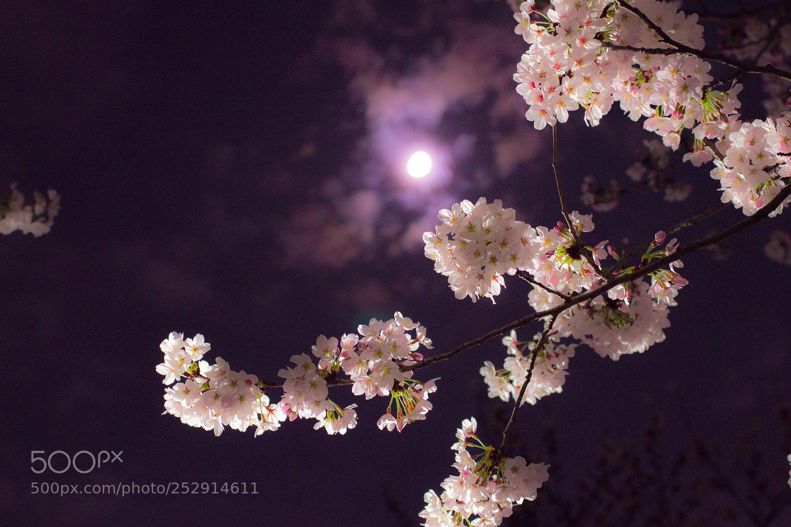 Canon EOS 700D (EOS Rebel T5i / EOS Kiss X7i) sample photo. Untitled photography