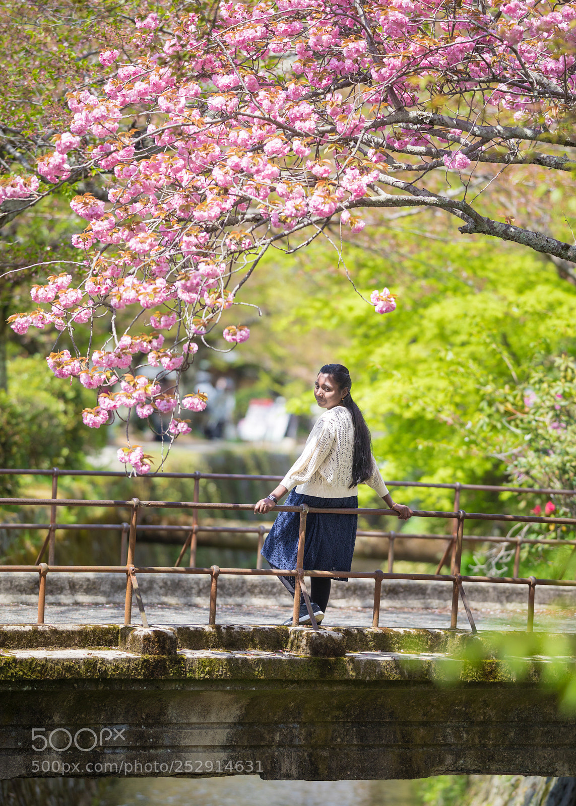 Canon EOS 5D Mark IV sample photo. Tetsugaku no michci photography