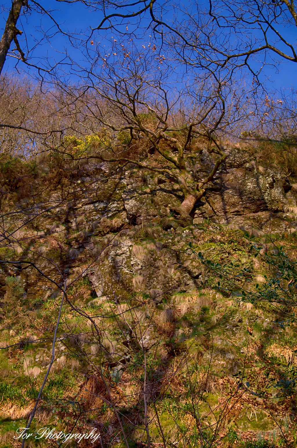 Sony SLT-A35 sample photo. Shadows on a cliff photography