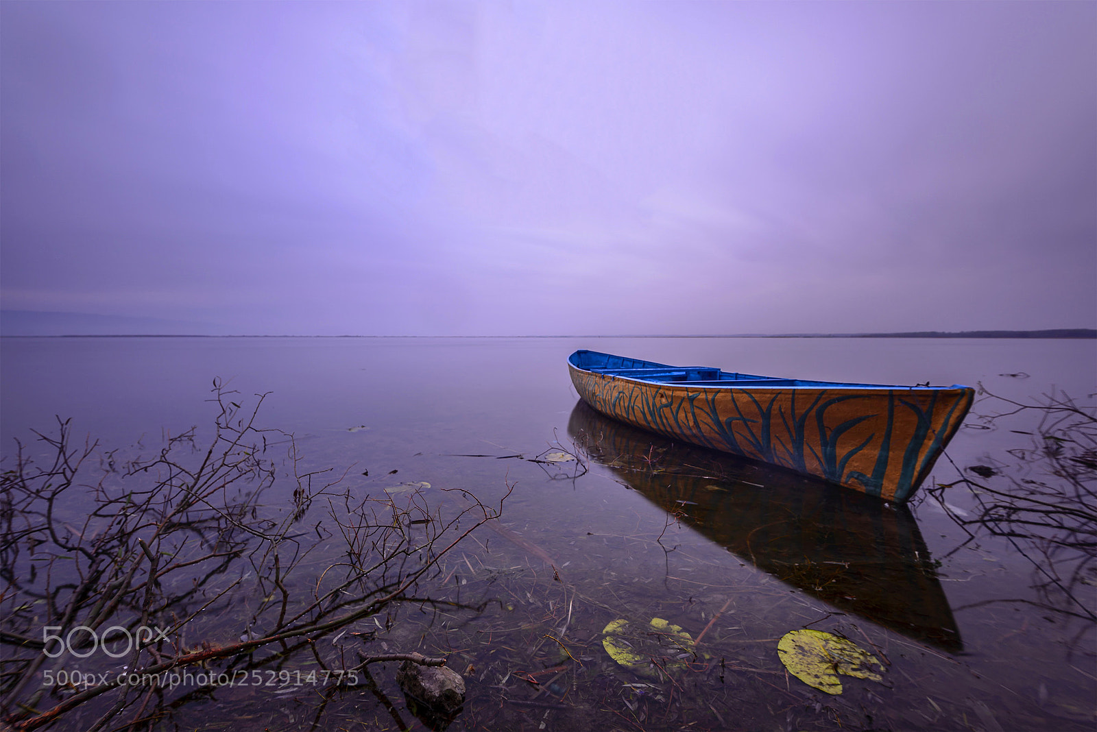 Nikon D600 sample photo. Serenty photography