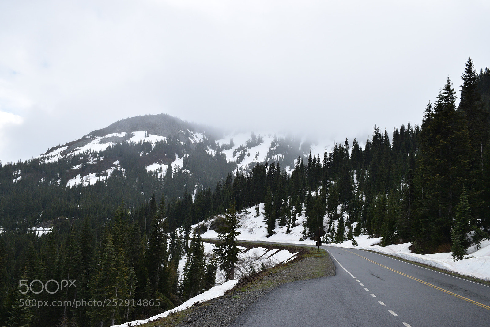 Nikon D3300 sample photo. Mt rainier photography