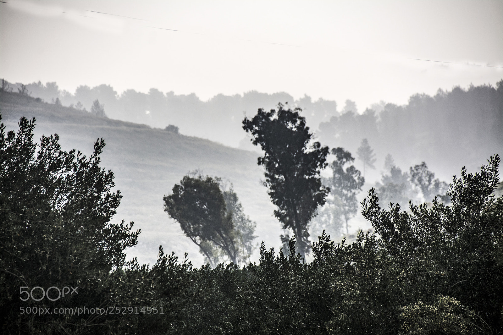 Nikon D7100 sample photo. Misty morning. photography