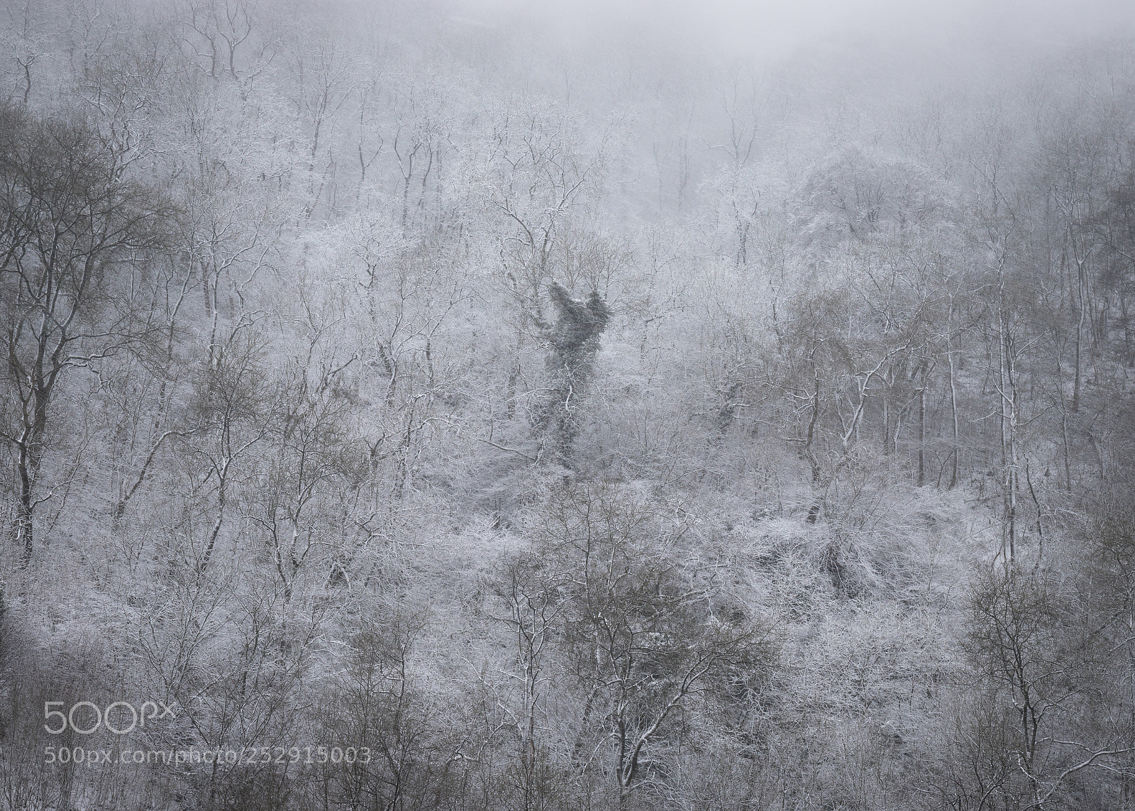 Canon EOS 6D Mark II sample photo. Winter vista photography