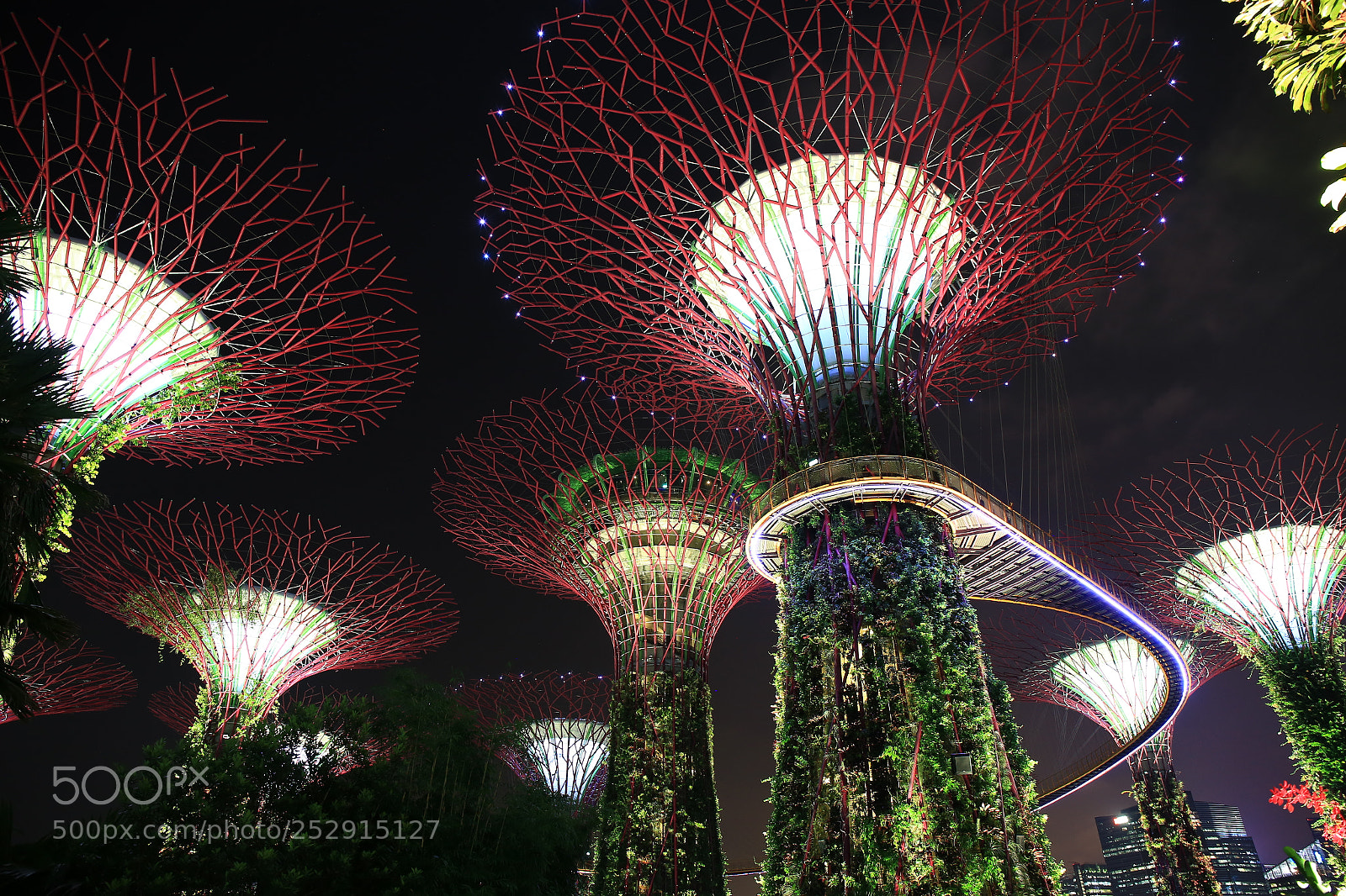 Canon EF 24-70mm F4L IS USM sample photo. Supertree, singapore photography