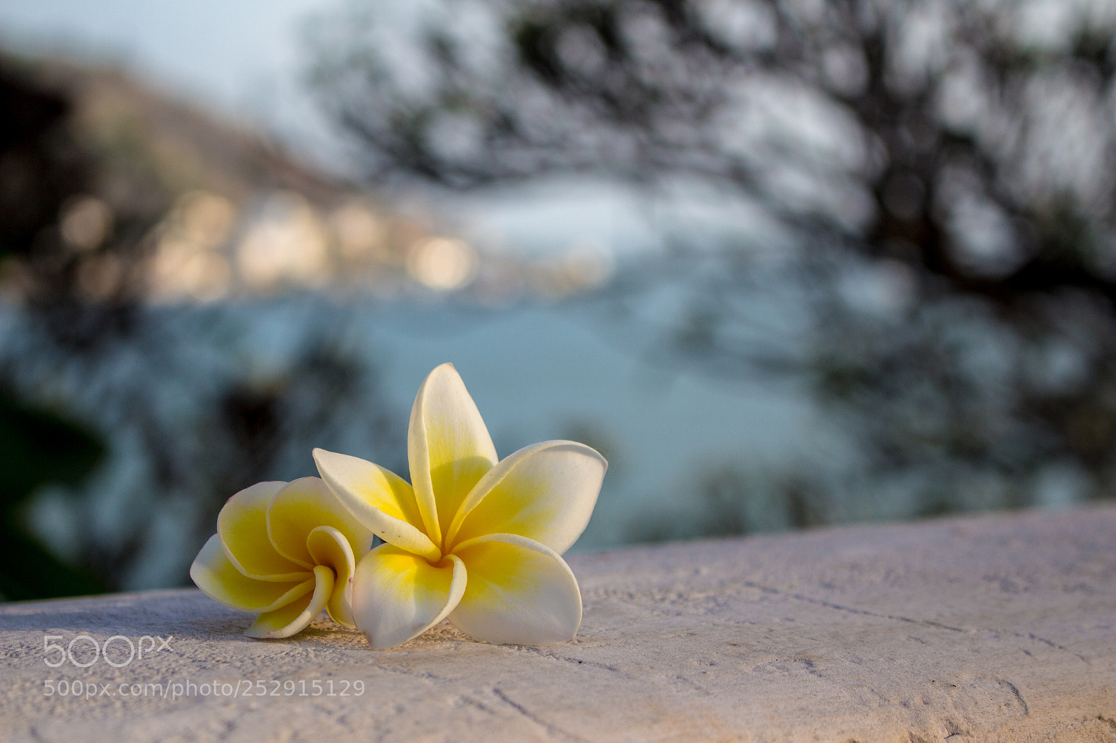 Canon EOS 700D (EOS Rebel T5i / EOS Kiss X7i) sample photo. Untitled photography