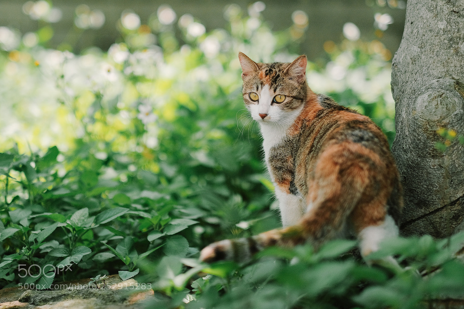 Fujifilm X-Pro2 sample photo. Untitled photography