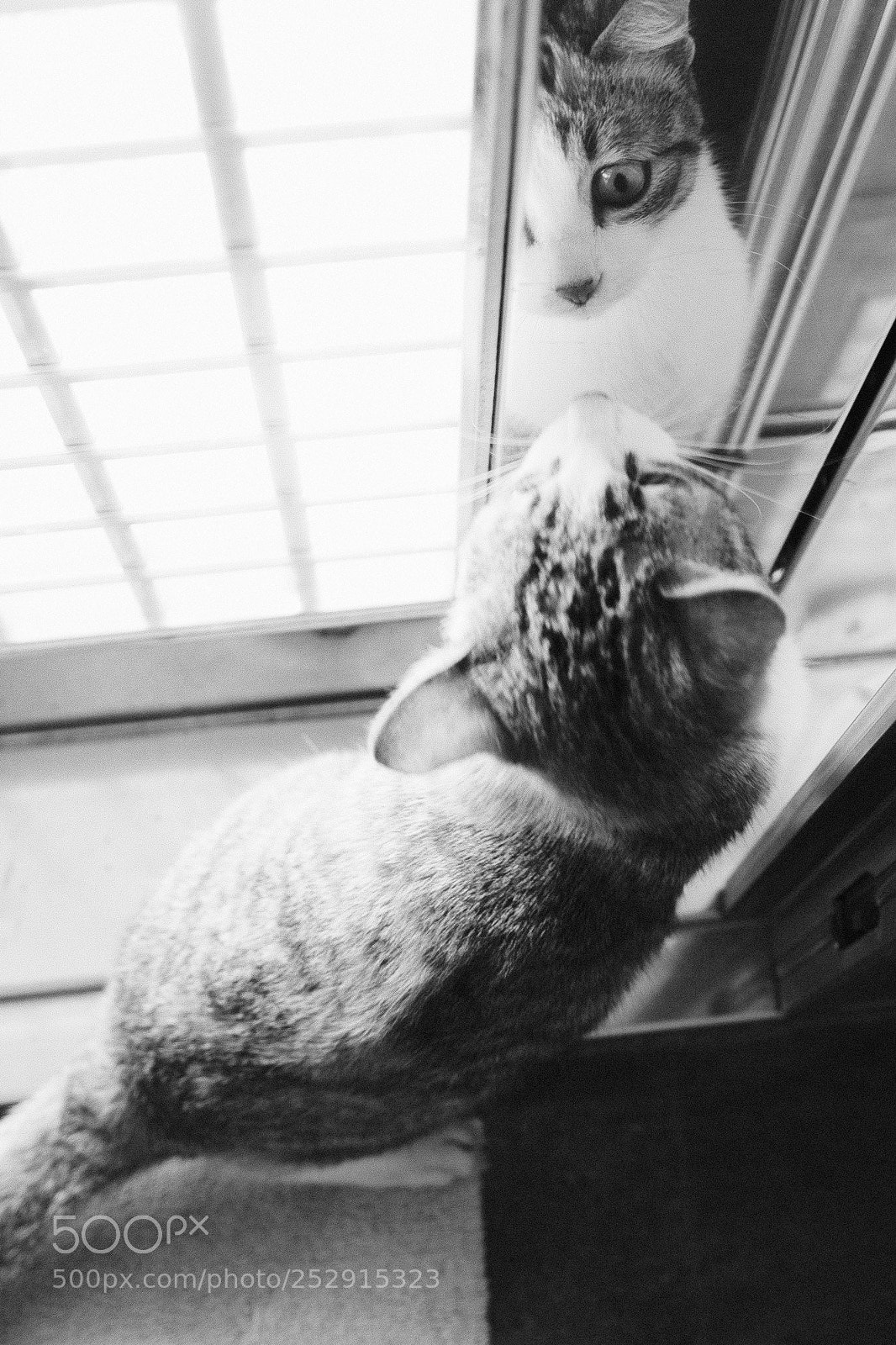 Fujifilm X-Pro2 sample photo. Untitled photography