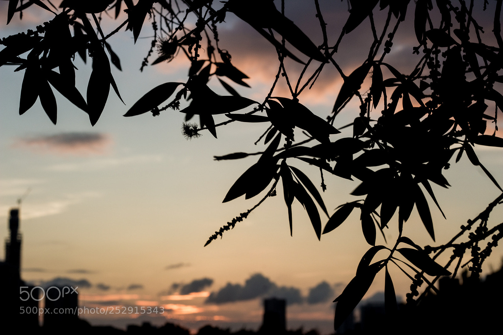Canon EOS 700D (EOS Rebel T5i / EOS Kiss X7i) sample photo. Untitled photography