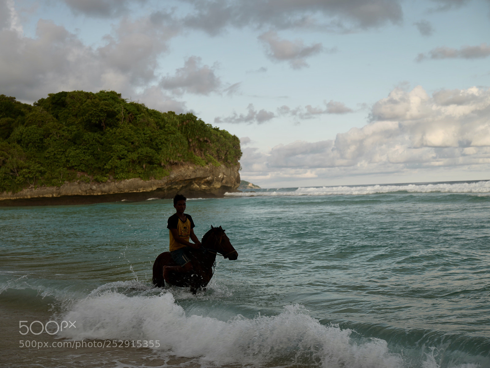 Leica SL (Typ 601) sample photo. Horse and waves photography