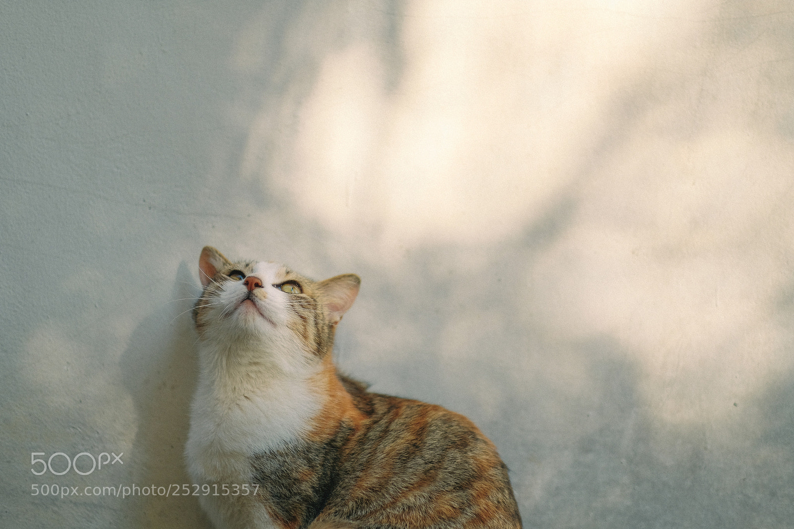 Fujifilm X-Pro2 sample photo. Untitled photography
