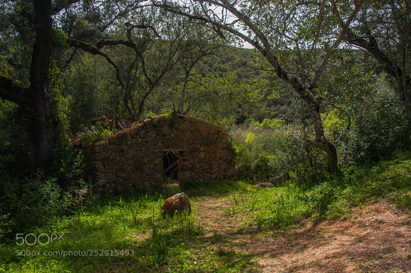 Nikon D5200 sample photo. Ruin photography