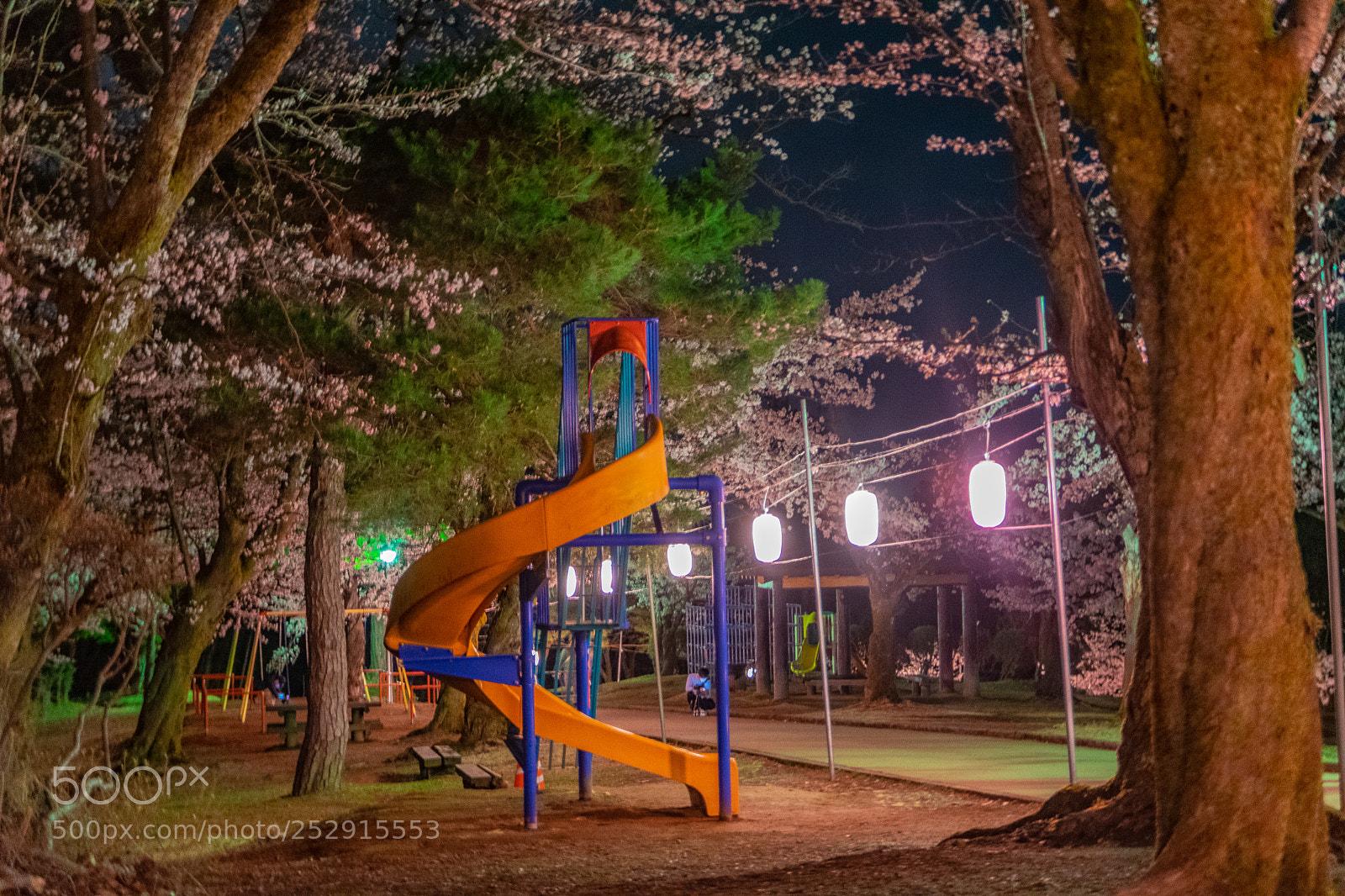 Nikon D5300 sample photo. Sakura photography