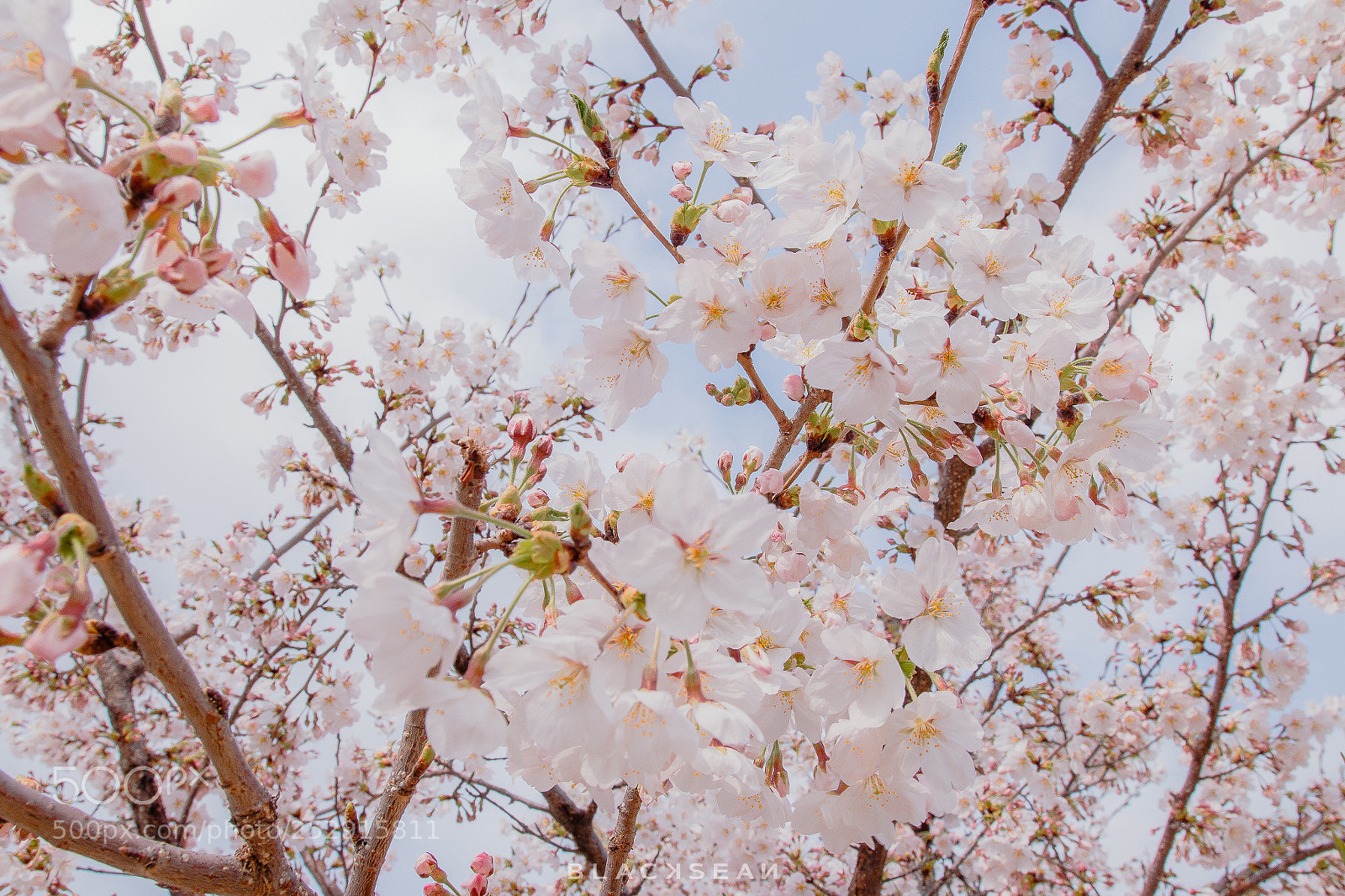 Canon EOS 70D sample photo. Untitled photography