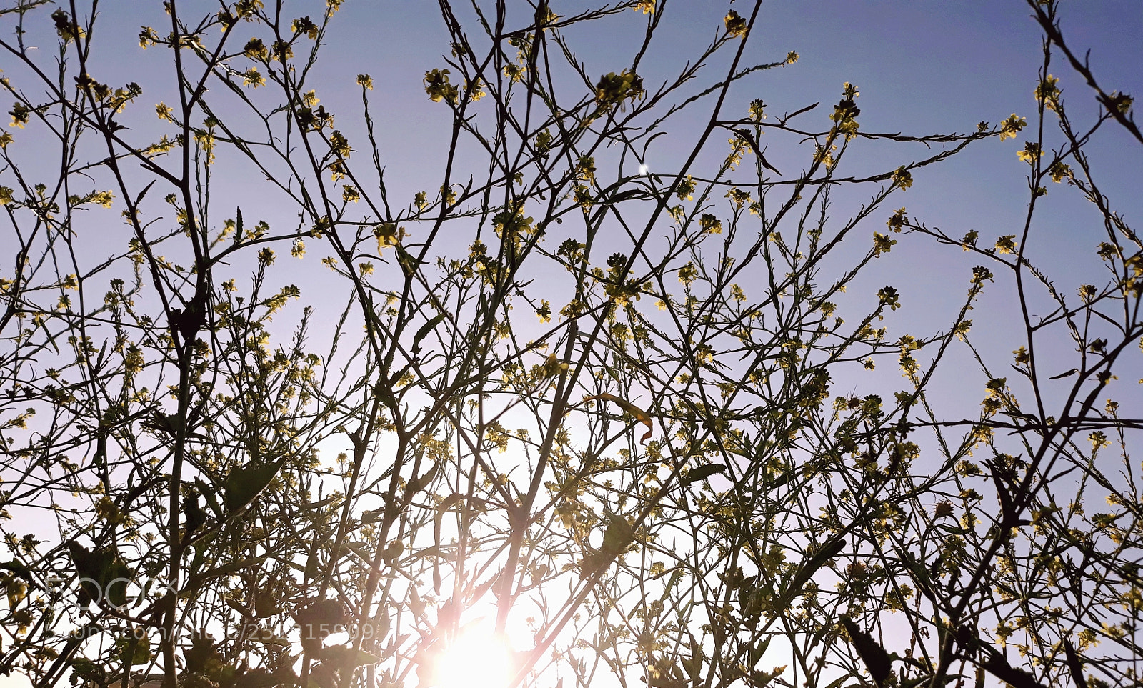 Samsung Galaxy J7 sample photo. Sunset photography