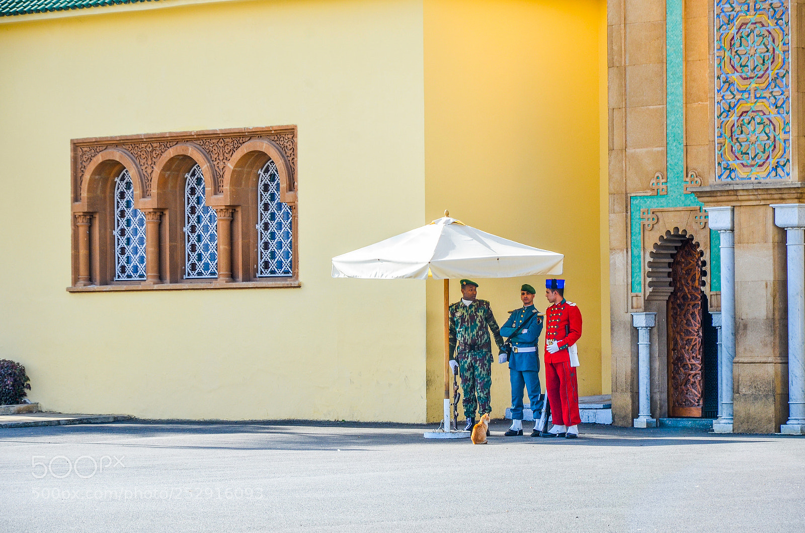Nikon D7000 sample photo. Colourful guards photography