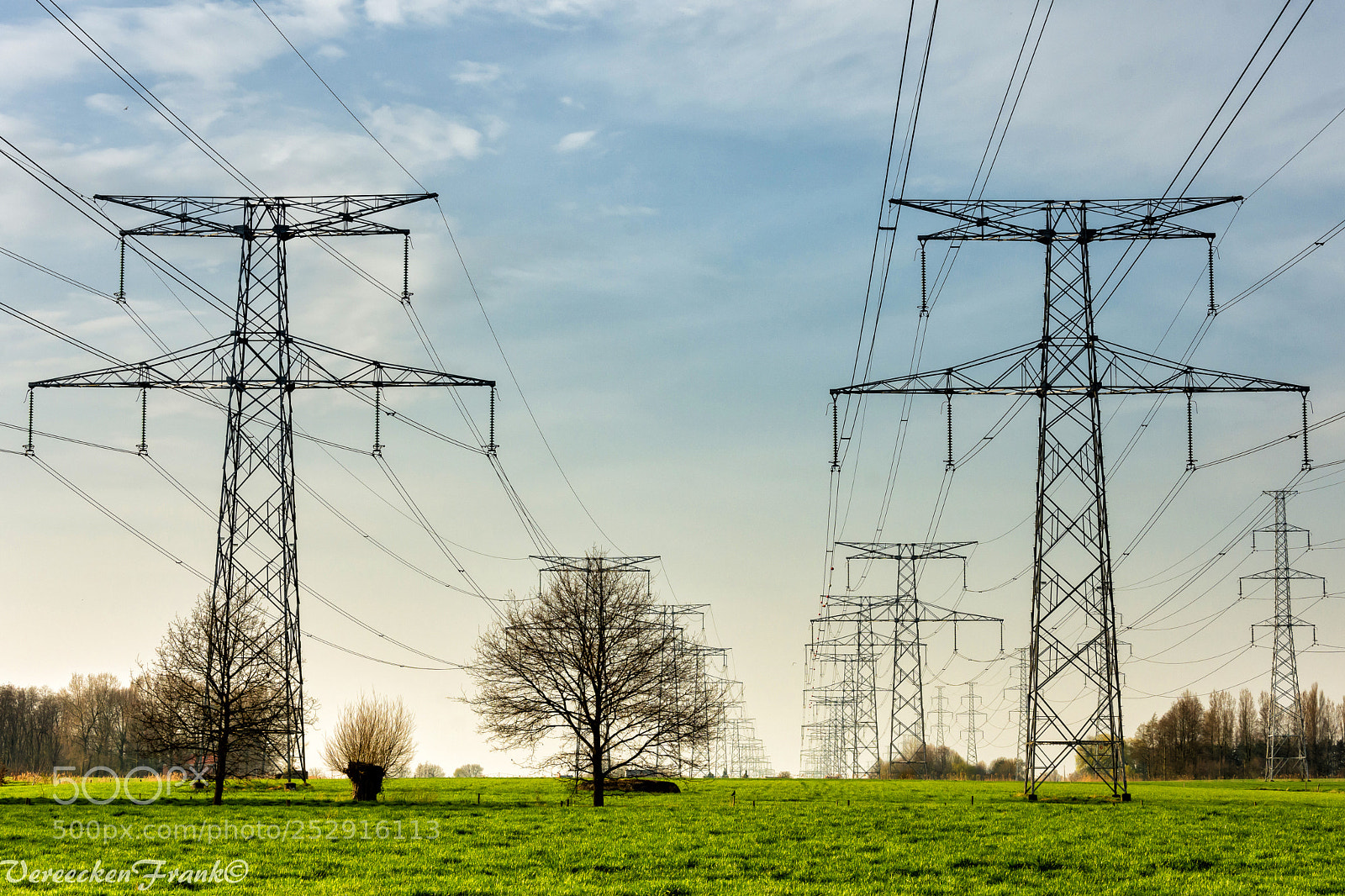 Nikon D7200 sample photo. Pylons in the polder photography