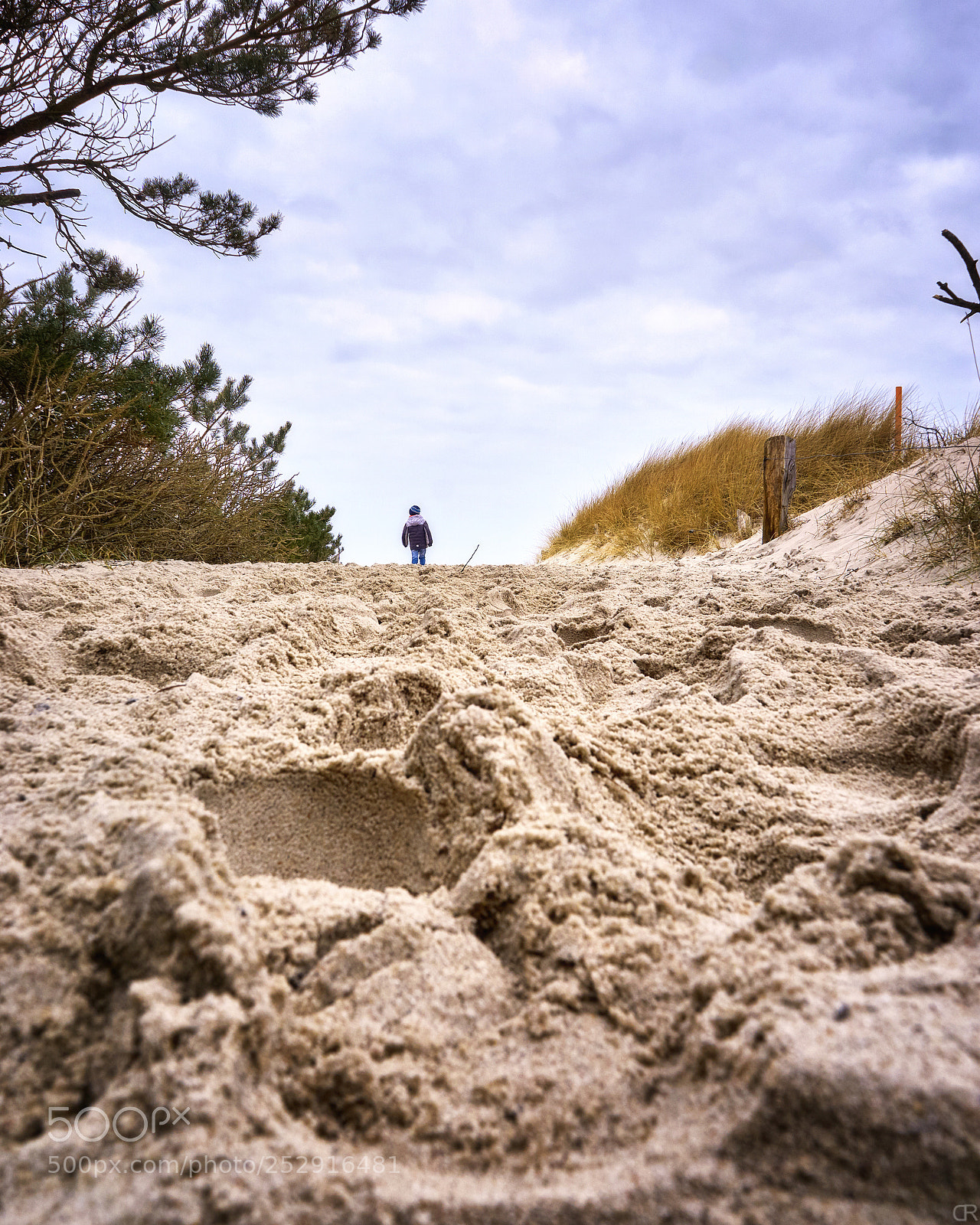 Sony a6000 sample photo. Spuren im sand photography