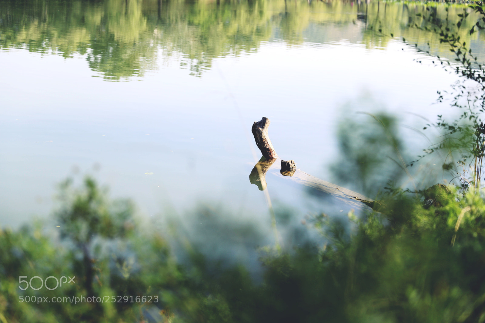 Canon EOS 6D Mark II sample photo. Untitled photography