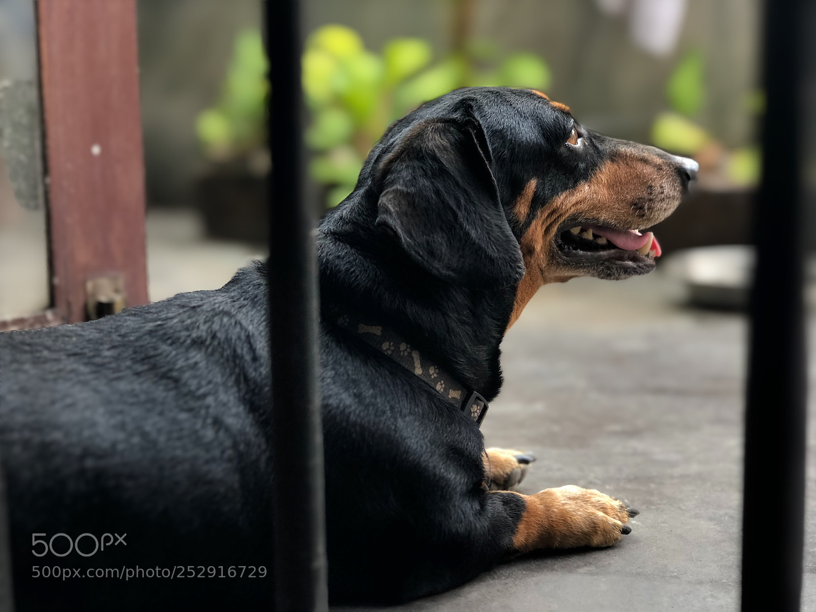 Apple iPhone 8 Plus sample photo. Untitled photography