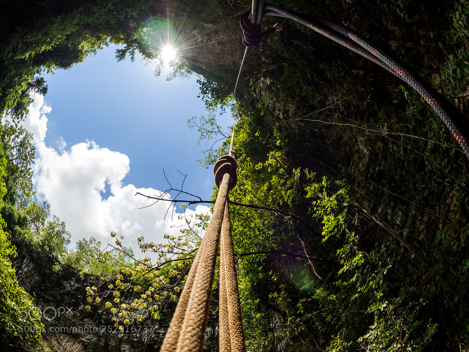 Olympus OM-D E-M10 II sample photo. View to the sky photography