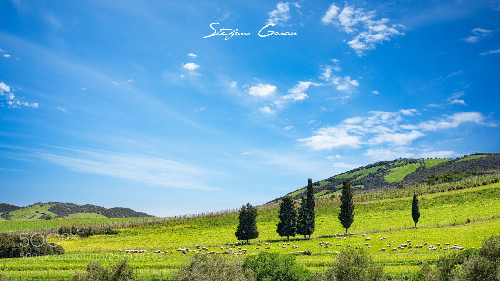 Nikon D810 sample photo. Grass hill photography