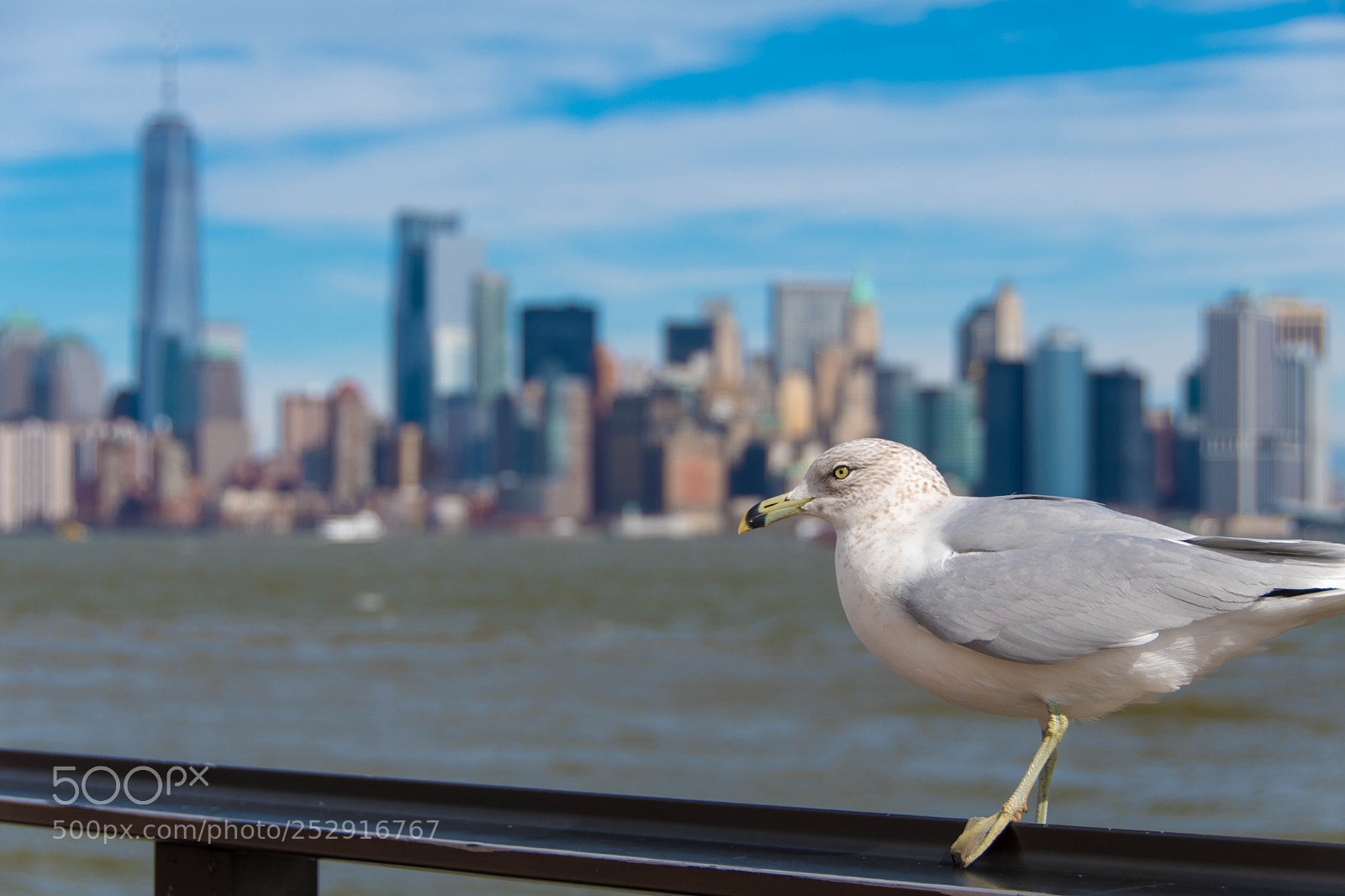 Nikon D7500 sample photo. Untitled photography