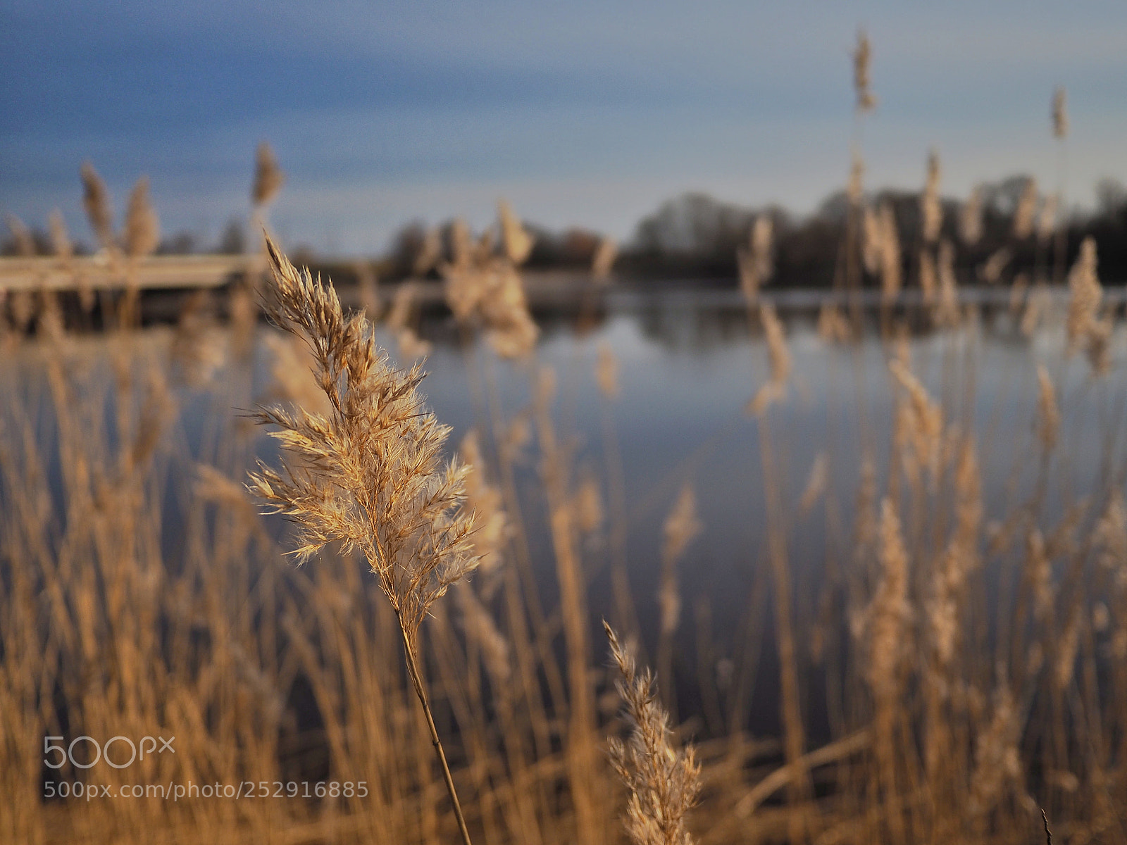 Olympus OM-D E-M10 II sample photo. River. photography