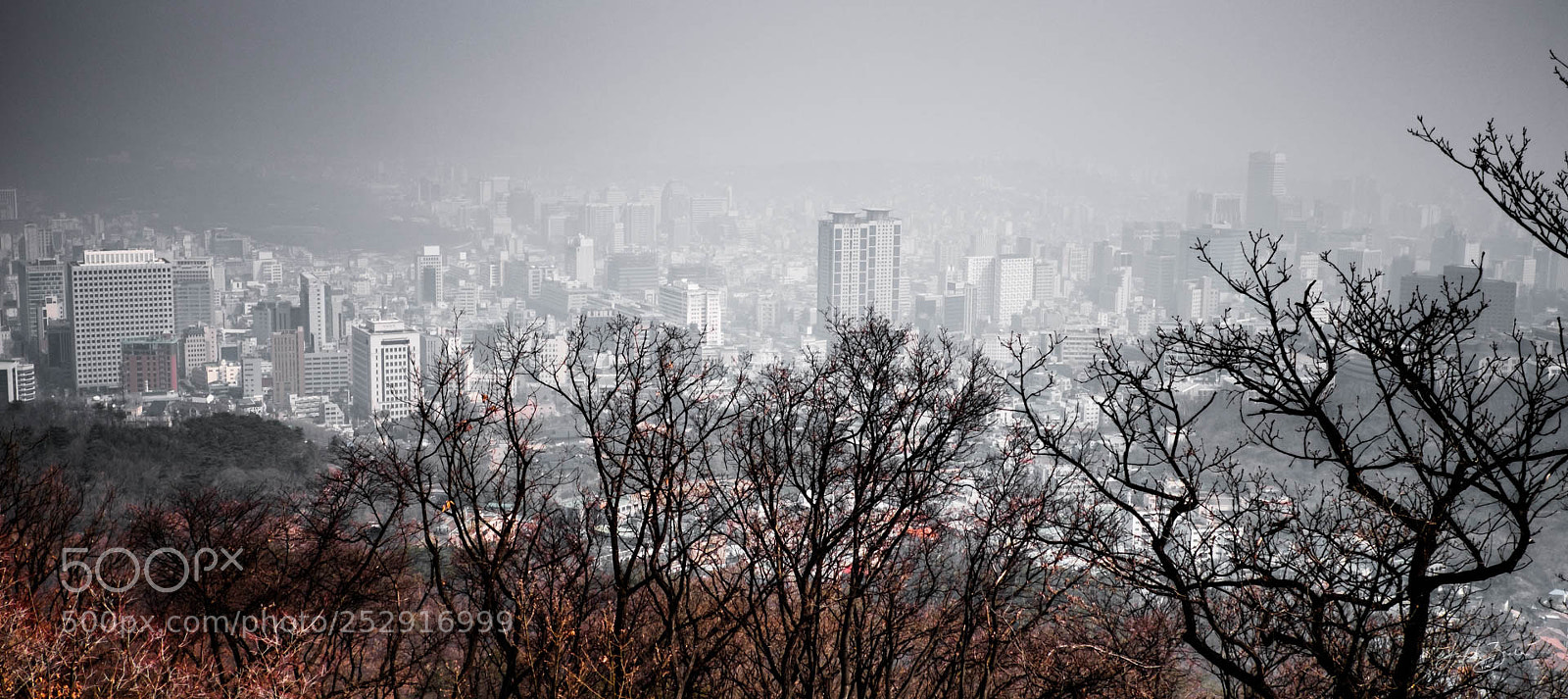 Fujifilm X-Pro2 sample photo. Seoul photography