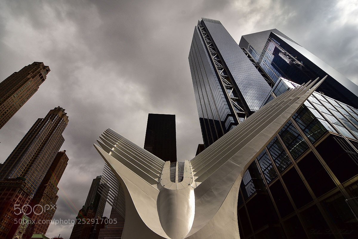 Nikon D7200 sample photo. New york photography