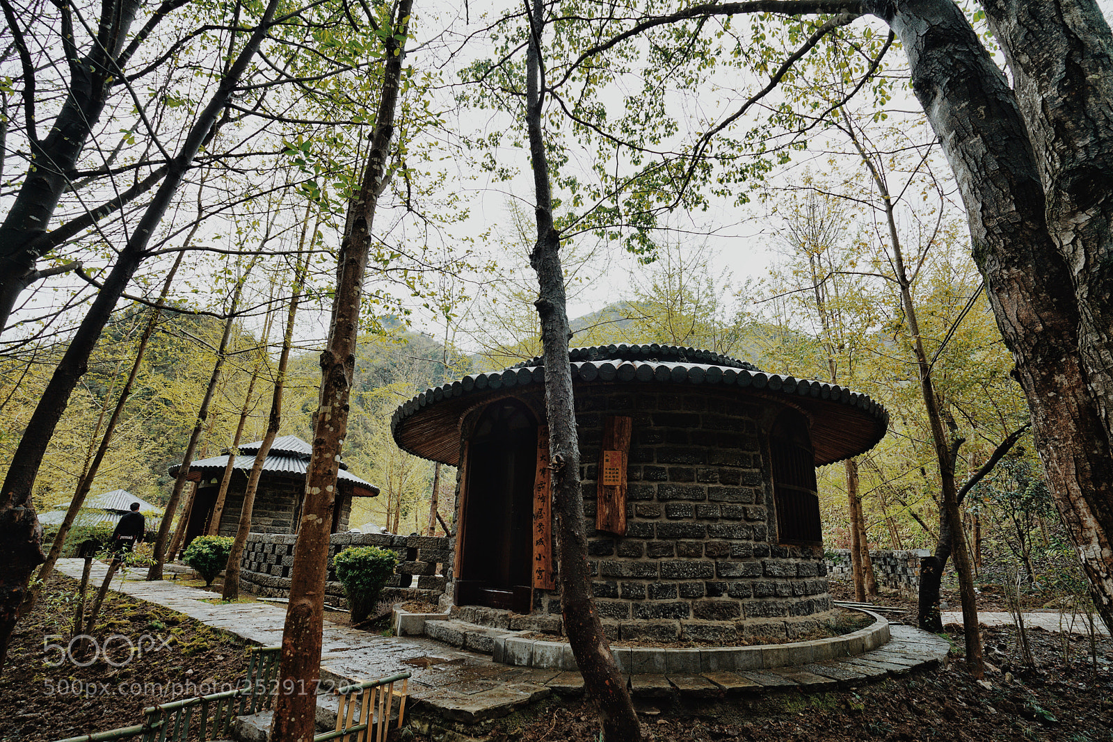 Sony a7R II sample photo. Untitled photography