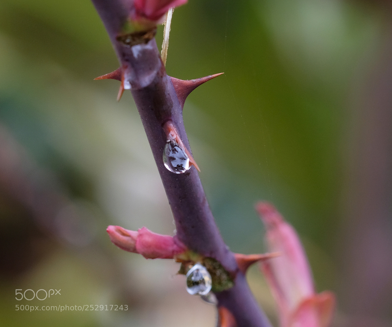 Fujifilm X-H1 sample photo. Riflessoi photography