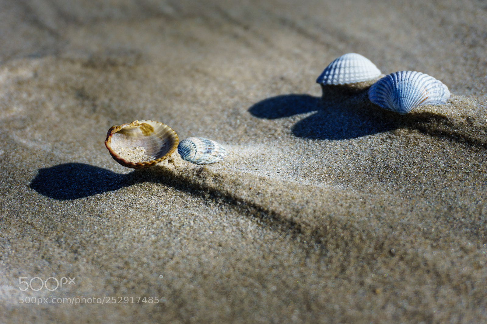 Sony a6000 sample photo. Moving sand photography