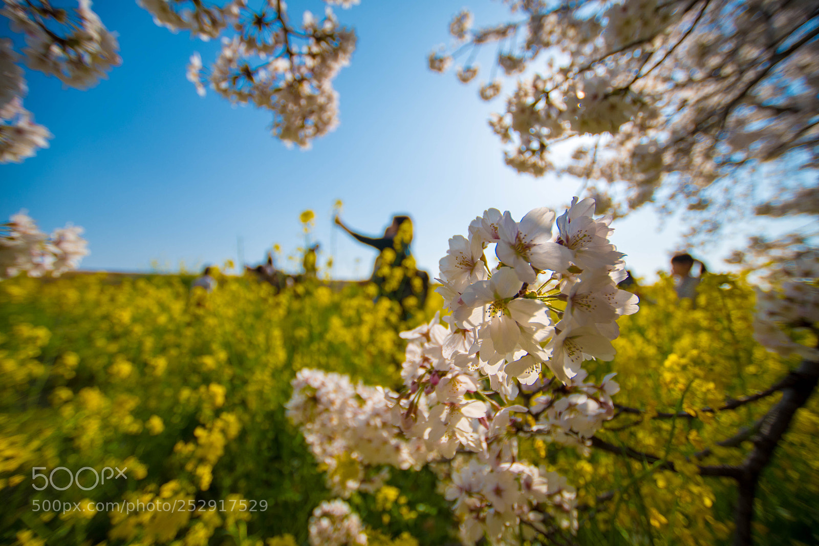 Nikon D7500 sample photo. Untitled photography
