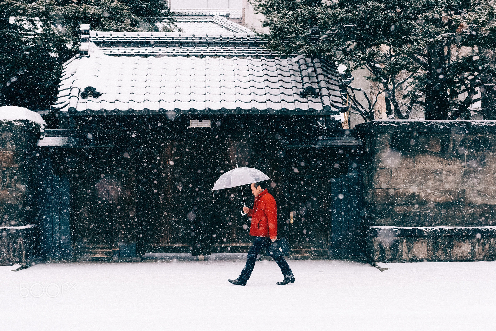 Nikon D810 sample photo. Walking in the snow photography