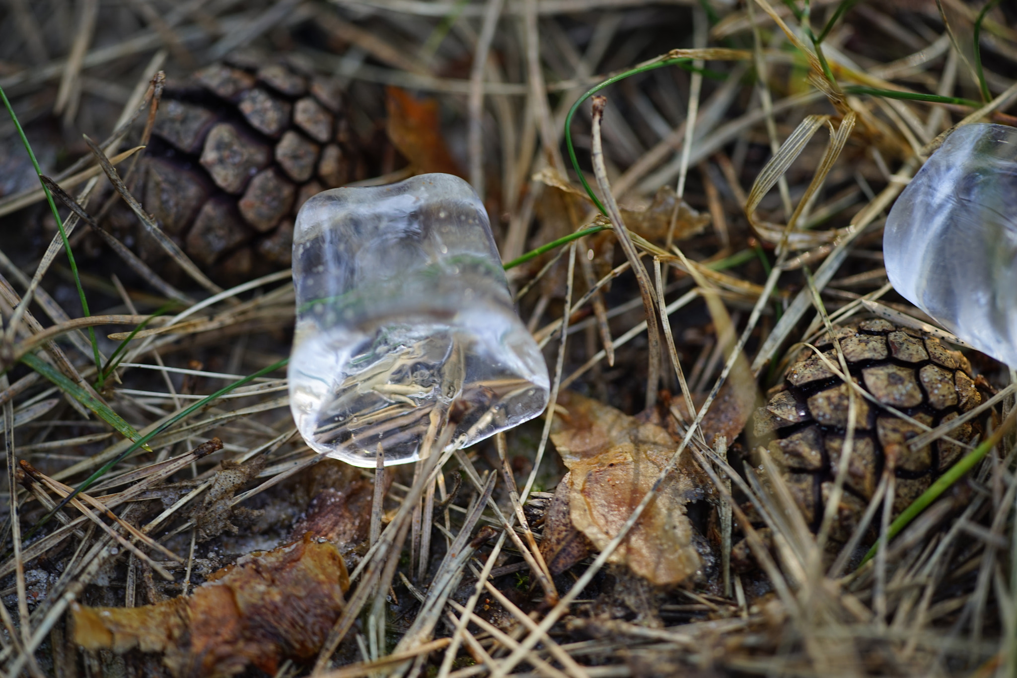 Sony a7R sample photo. Dsc photography