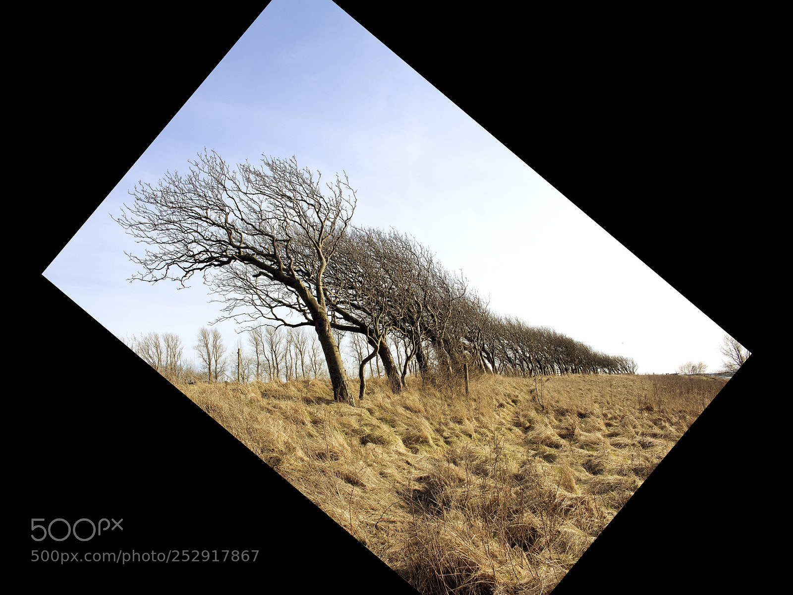 Canon EOS 700D (EOS Rebel T5i / EOS Kiss X7i) sample photo. Lilla troll skog photography