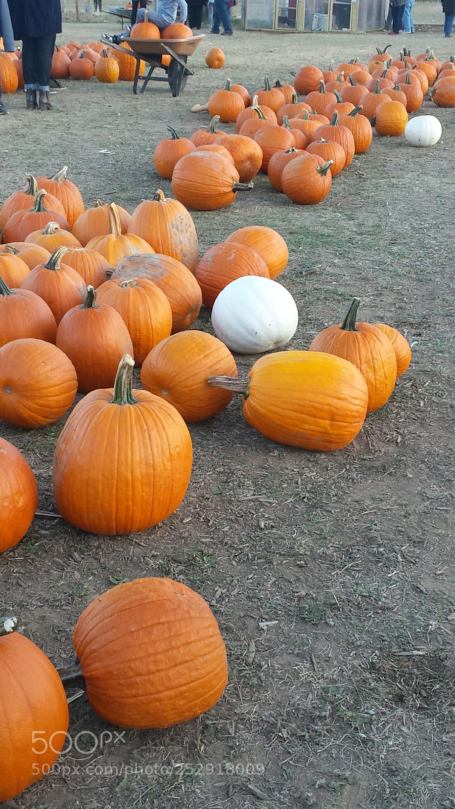 Samsung Galaxy S4 sample photo. 20161015_174758.jpg photography