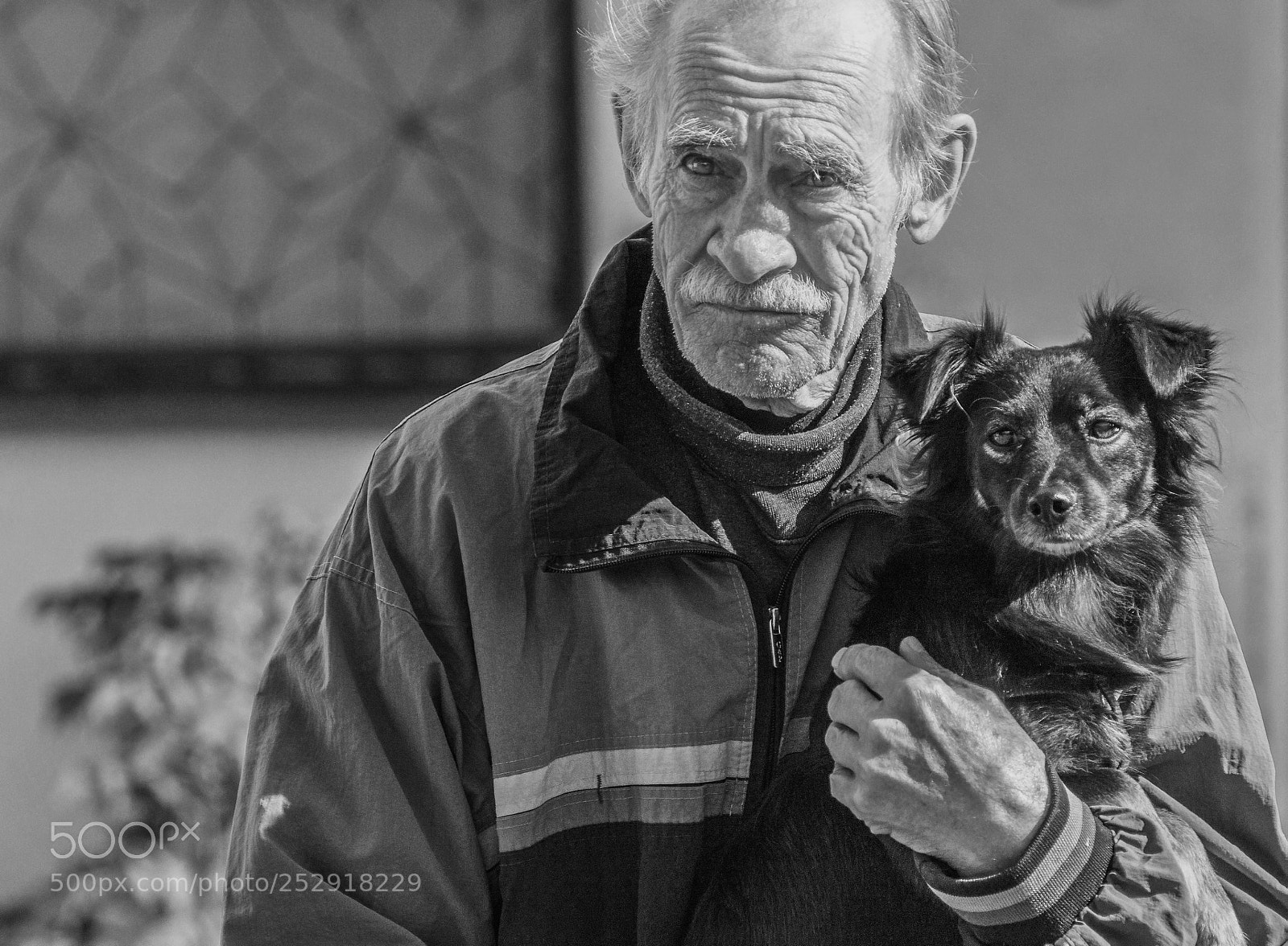 Sony SLT-A58 sample photo. Найкращі Друзі ...."best friends" photography