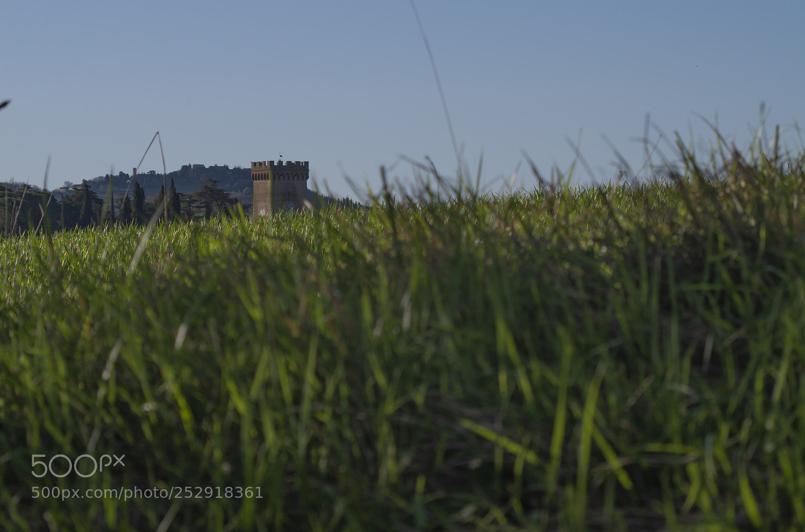 Pentax K-30 sample photo. Torre aliano photography
