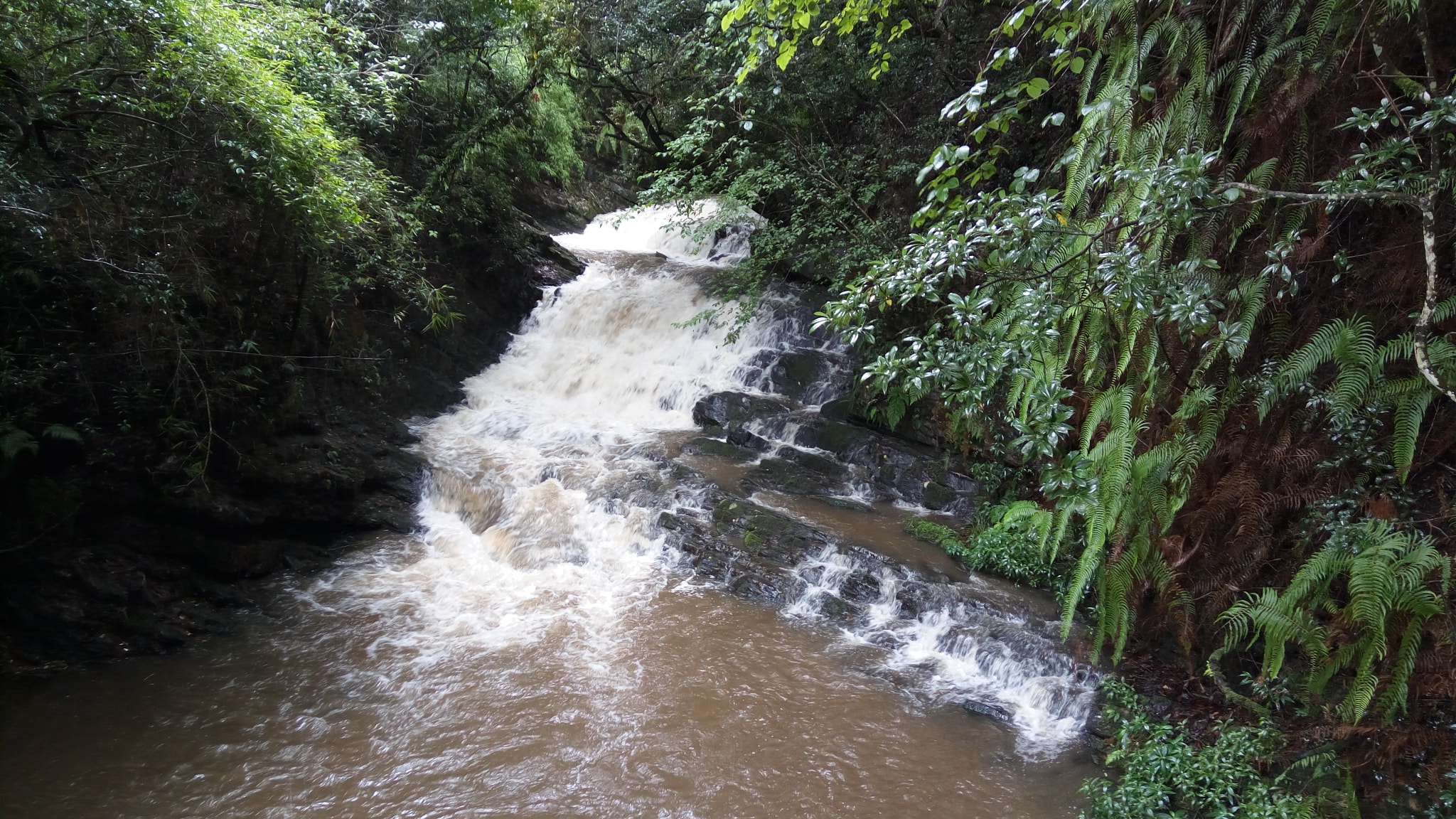Lenovo VIBE X3 LITE sample photo