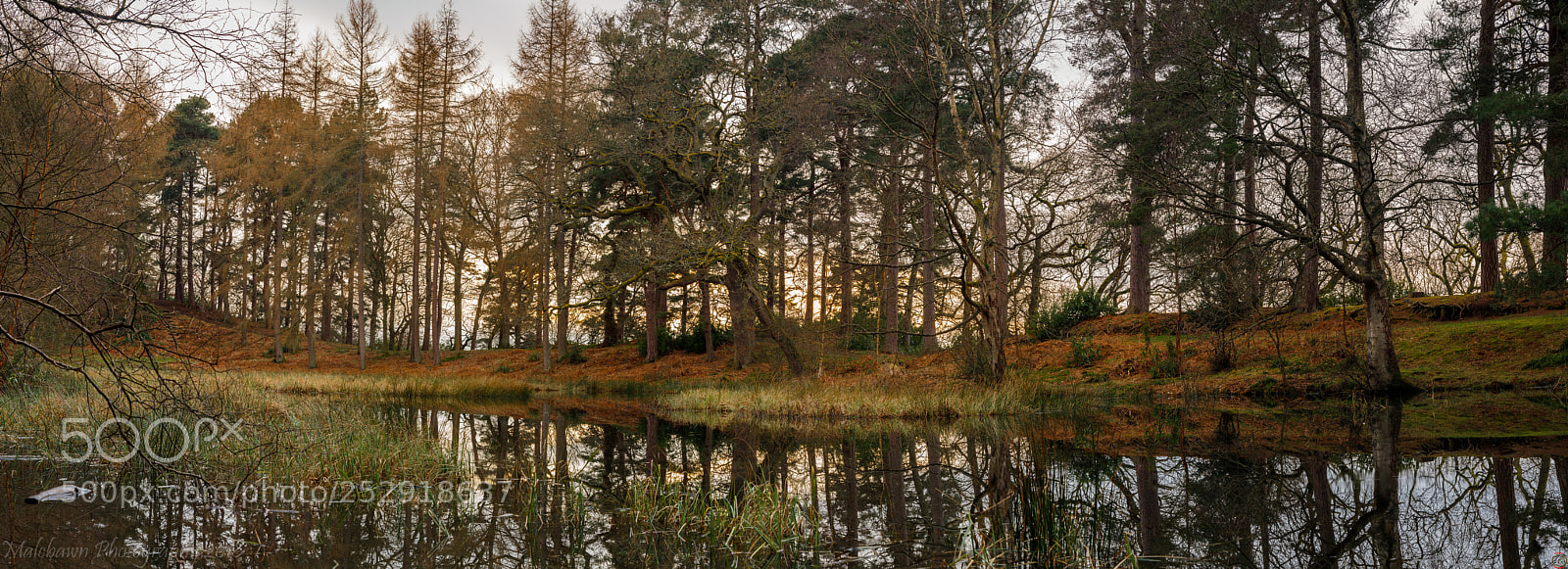 Canon EOS 6D Mark II sample photo. Tarn photography