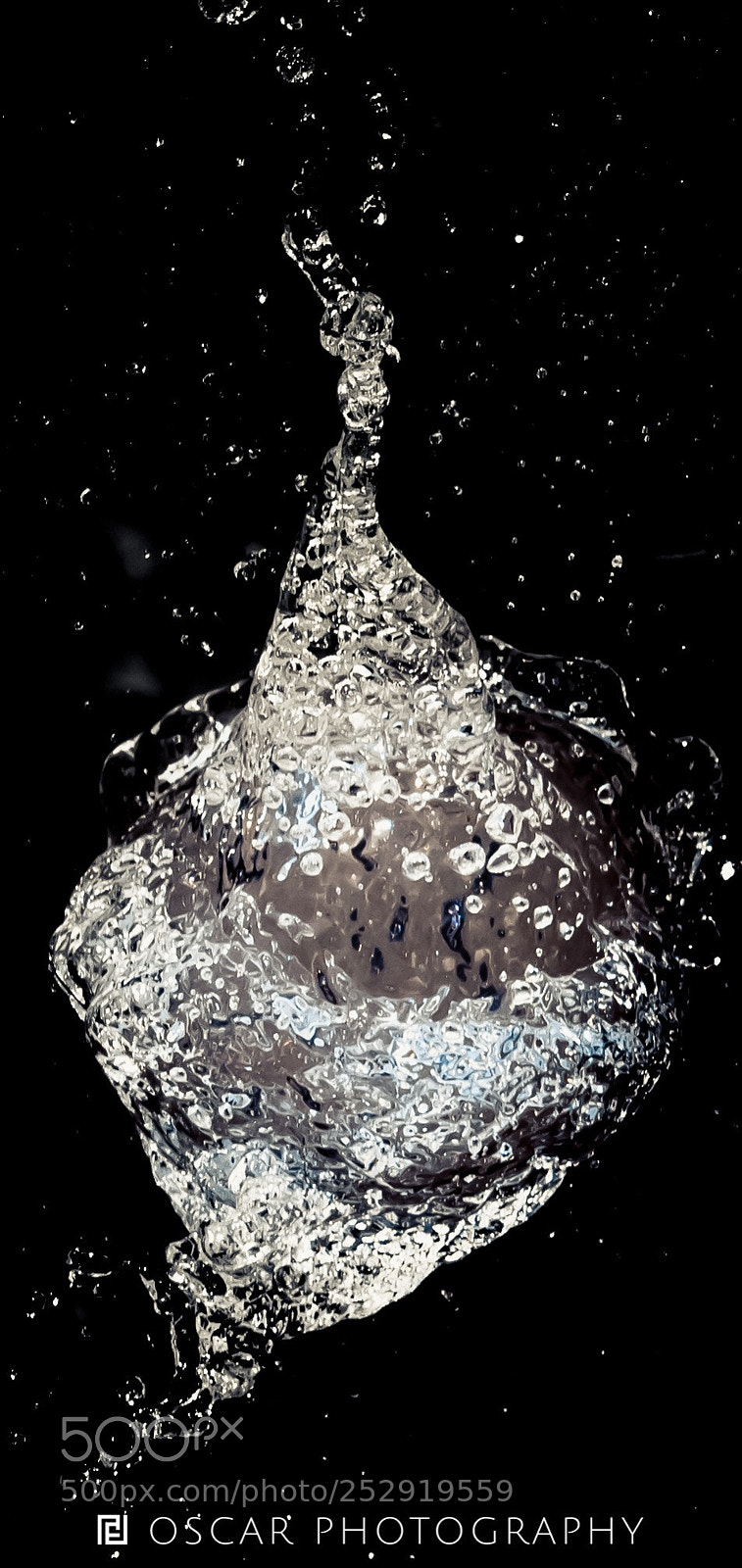 Nikon D810 sample photo. Untitled photography