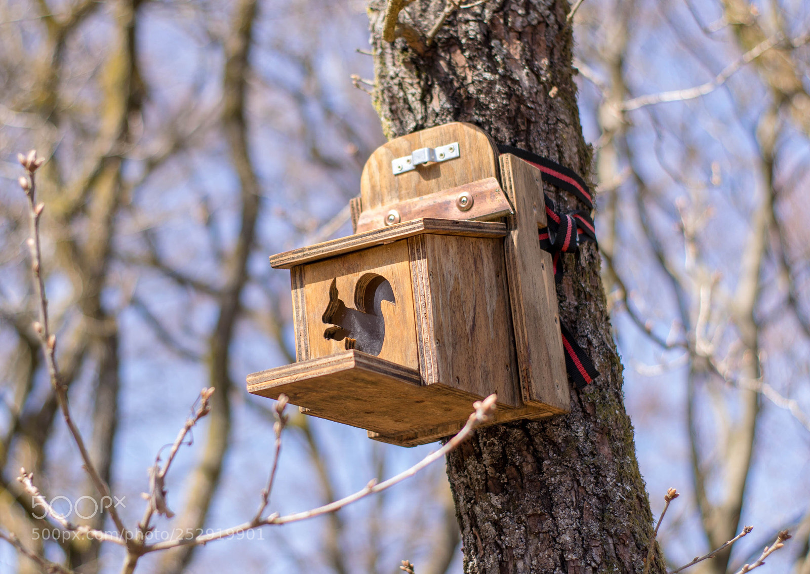 Nikon D3300 sample photo. Futterhäuschen photography