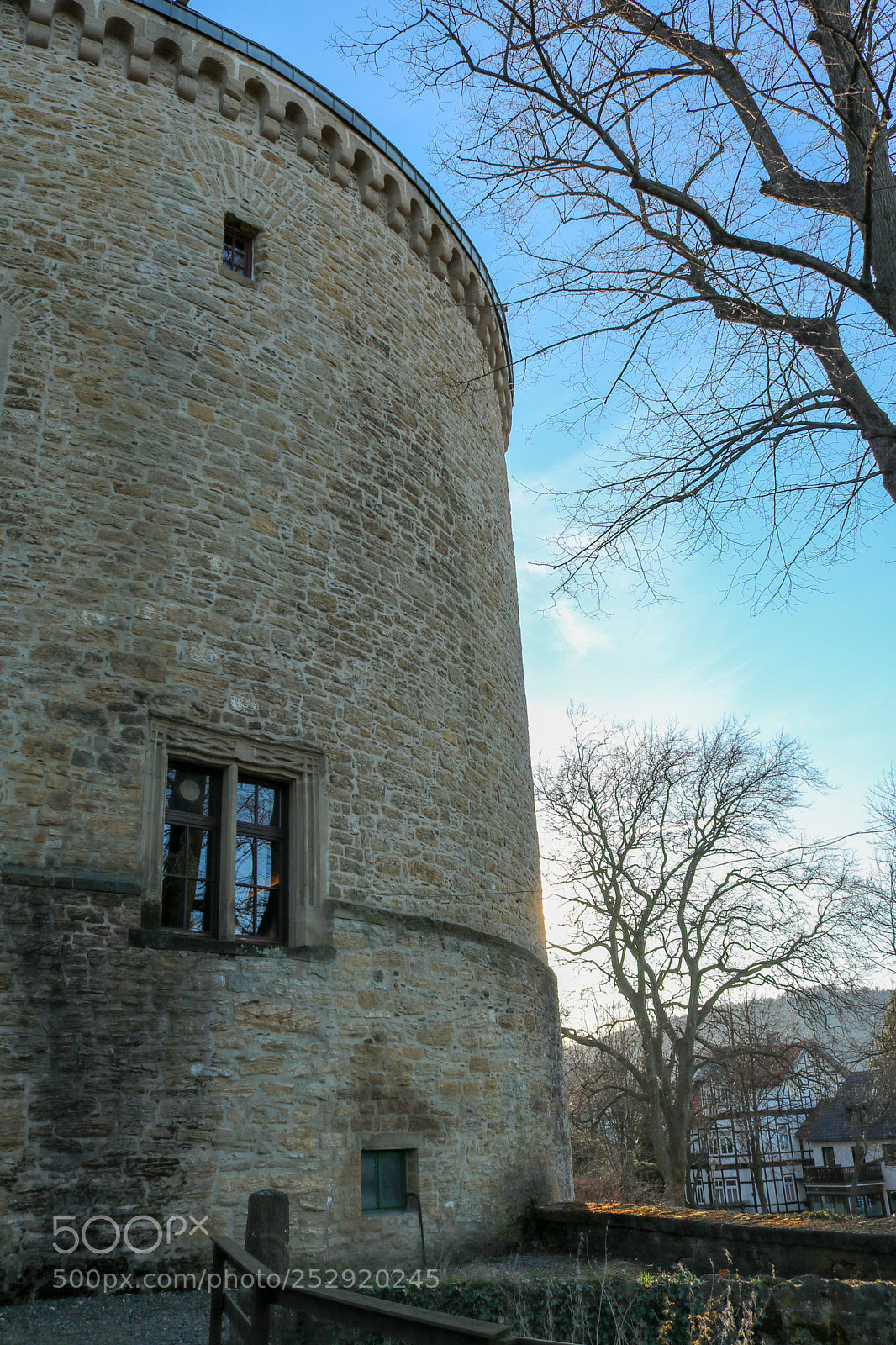 Canon EOS 750D (EOS Rebel T6i / EOS Kiss X8i) sample photo. Zwinger photography