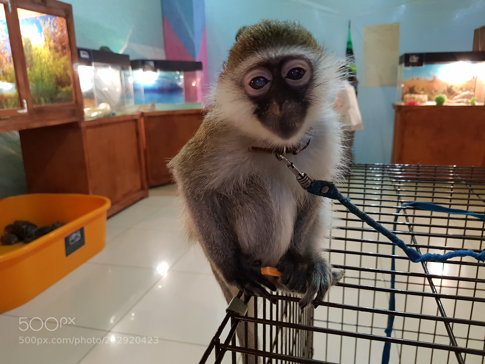 Samsung Galaxy S8+ sample photo. Untitled photography