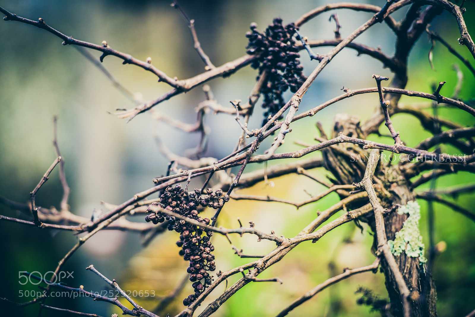 Nikon D800 sample photo. Riomaggiore photography