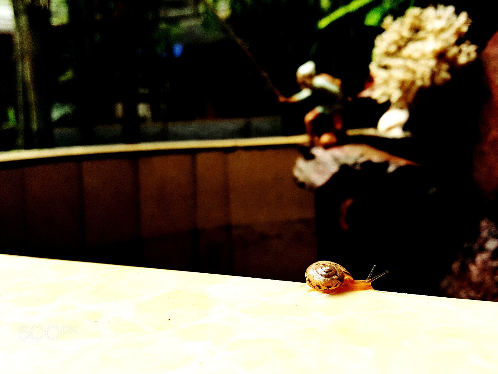 Samsung Galaxy S6 sample photo. 蜗牛 photography